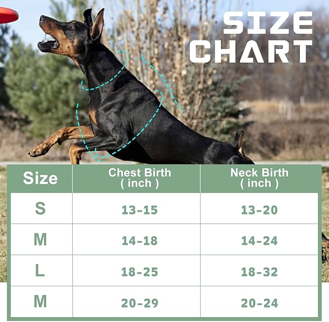 No Pull Dog Harness for Large Dogs, Adjustable No Choke Pet Vest with Dog Leash Fit Smart Reflective Pet Walking Harness for Training Easy Control Soft Handle Green XL BUMBIN