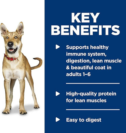 Hill's Science Diet Adult 1-6, Adult 1-6 Premium Nutrition, Wet Dog Food, Chicken & Vegetables Stew, 12.8 oz Can, Case of 12 - PAWPICO