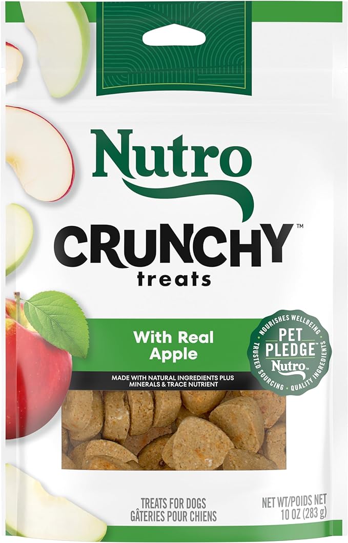 NUTRO Crunchy Dog Treats with Real Apple, 10 oz. Bag - PAWPICO