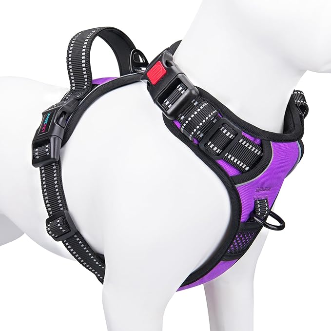 PHOEPET No Pull Dog Harnesses for Small Dogs Reflective Adjustable Front Clip Vest with Handle 2 Metal Rings 3 Buckles [Easy to Put on & Take Off](S, Purple) - PAWPICO