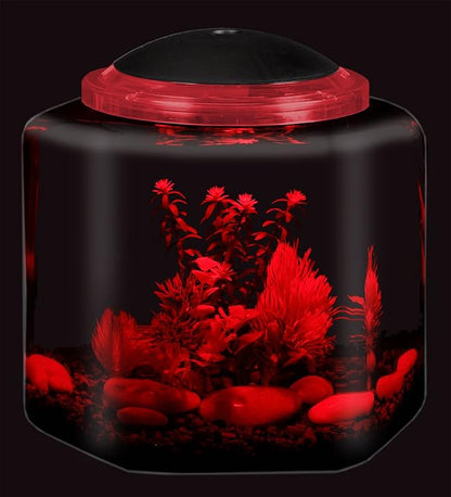 Koller Products 2-Gallon Hex Aquarium Starter Tank - LED Lighting (7 Color Selections), Impact-Resistant Plastic Fish Bowl with Stand for Betta/Nano/Goldfish, Wedding Event & Home Decor DISCOVERTHEEXCITINGWORLDOFKEEPINGTROPICALFISH