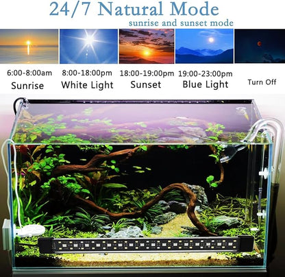 Submersible Aquarium Light for Fish Tank,24/7 Mode Full Spectrum LED Fish Tank Light with Air Bubble Hole RGB Color Changing Brightness Timer Adjustable,7.8inch 8W Fish Light REIRQIE