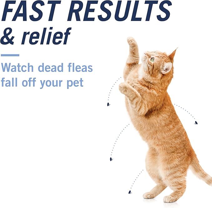 PetArmor CAPACTION (nitenpyram) Oral Flea Treatment for Cats, Fast Acting Tablets Start Killing Fleas in 30 Minutes, Cats 2-25 lbs, 6 Doses PetArmor