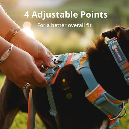 Ruffwear, Front Range Dog Harness, Reflective and Padded, No Pull Harness for Training and Everyday, Spring Mountains, Medium RuffwearInc