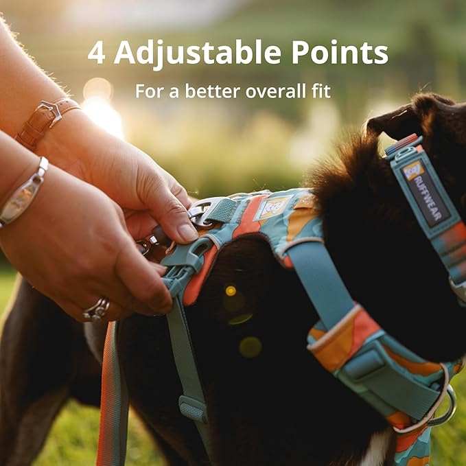 Ruffwear, Front Range Dog Harness, Reflective and Padded, No Pull Harness for Training and Everyday, Moonlight Mountains, XX-Small RuffwearInc