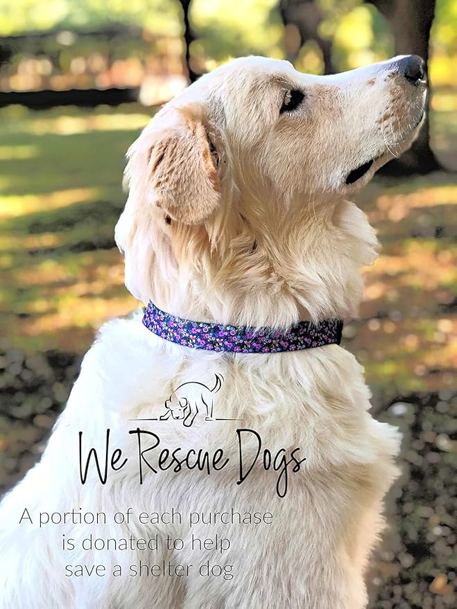 Lucky Love Dog, Comfortable, Soft, Cute Female Dog Collar for Medium Dogs, Black & Purple Floral Print, Adjustable Nylon Collar, Primrose, Medium LuckyLoveDog