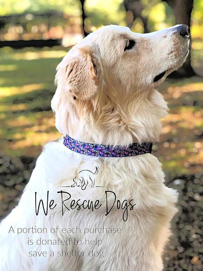 Lucky Love Dog, Comfortable, Soft, Cute Female Dog Collar for Medium Dogs, Black & Purple Floral Print, Adjustable Nylon Collar, Primrose, Medium LuckyLoveDog