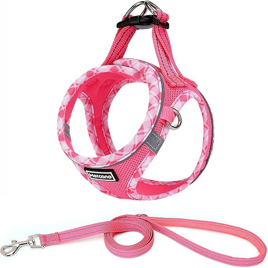 Mercano Soft Mesh Dog Harness and Leash Set, No-Chock Step-in Reflective Breathable Lightweight Easy Walk Vest Harnesses with Safety Buckle for Small Medium Dogs, Cats (L, Fuchsia) PAWPICO