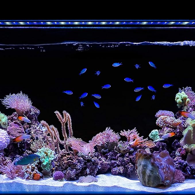 CURRENT USA 72" Inch Orbit Marine IC LOOP LED Saltwater Reef Marine Aquarium Light with Bluetooth App Control | Wireless Lighting & eFlux Wave Pump Control for Fish Tank (4208) Current+USA