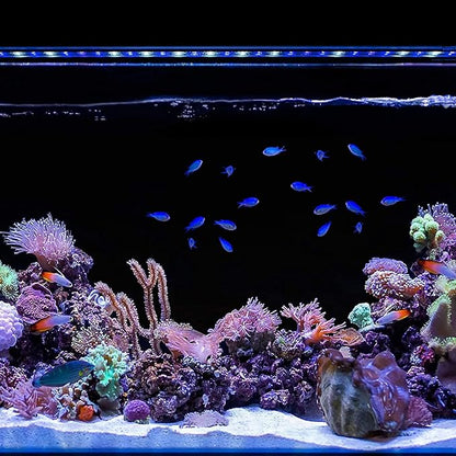 CURRENT USA 72" Inch Orbit Marine IC LOOP LED Saltwater Reef Marine Aquarium Light with Bluetooth App Control | Wireless Lighting & eFlux Wave Pump Control for Fish Tank (4208) Current+USA