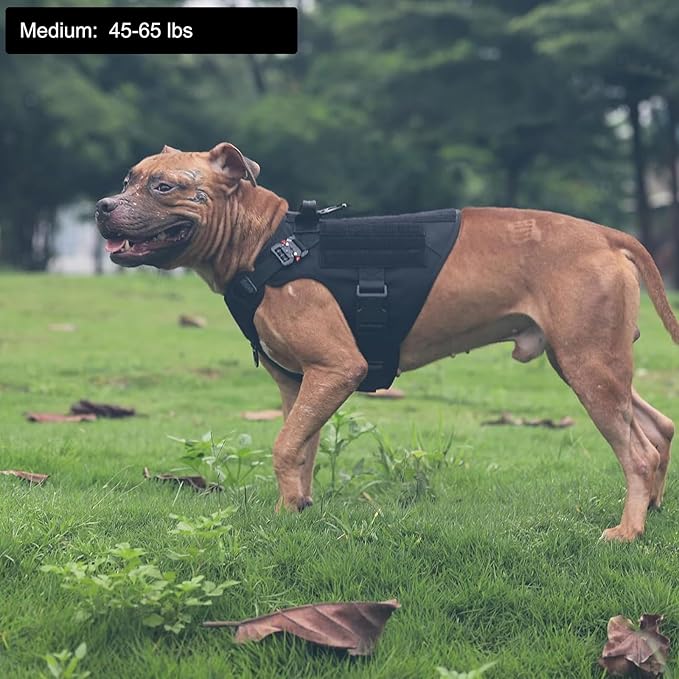 ICEFANG Tactical Dog Harness,Medium Size, 2X Metal Buckle,Working Dog MOLLE Vest with Handle,No Pulling Front Leash Clip,Hook and Loop Panel ICEFANGDIRECT