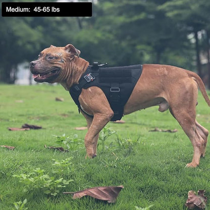 ICEFANG Tactical Dog Harness,Medium Size, 2X Metal Buckle,Working Dog MOLLE Vest with Handle,No Pulling Front Leash Clip,Hook and Loop Panel ICEFANGDIRECT