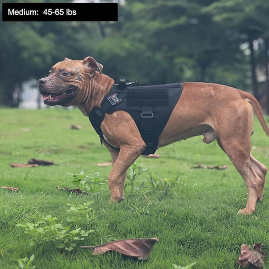 ICEFANG Tactical Dog Harness,Medium Size, 2X Metal Buckle,Working Dog MOLLE Vest with Handle,No Pulling Front Leash Clip,Hook and Loop Panel ICEFANGDIRECT