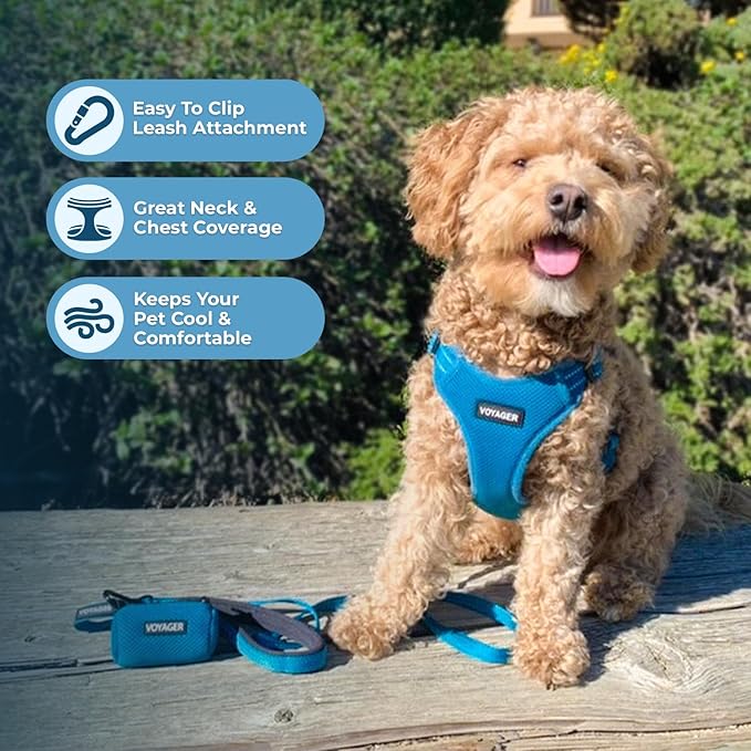 Best Pet Supplies Voyager Adjustable Dog Harness with Reflective Stripes for Walking, Jogging, Heavy-Duty Full Body No Pull Vest with Leash D-Ring, Breathable All-Weather - Harness (Turquoise), S BestPetSuppliesLLC