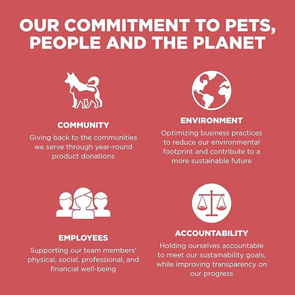 Go! Solutions Sensitivities Limited Ingredient, Grain-Free Dry Cat Food, Salmon Recipe for Sensitive Stomach, 6 lb Bag - PAWPICO