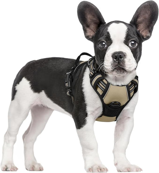 rabbitgoo Dog Harness No Pull with 2 Leash Clips, Adjustable Soft Padded, Reflective Oxford No Choke Pet Vest with Easy Control Handle for Small Dogs, Beige, S rabbitgoo