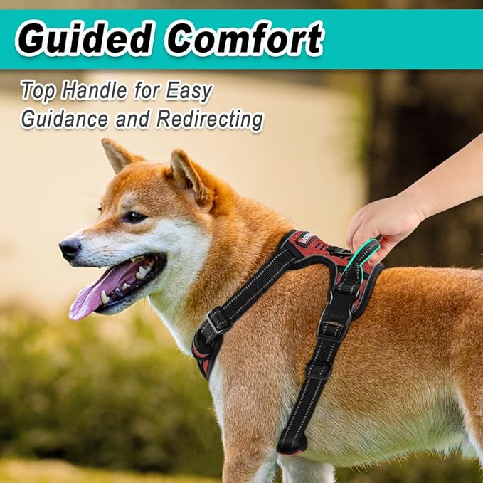 BARKBAY Dog Harness No Pull for Large Dogs - Adjustable, Reflective, Comfortable, No Choke, Heavy-Duty - Perfect for Outdoor Training, Walking, and Hiking - Strong & Durable - XL & Roi Red BARKBAY