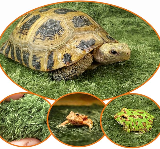 kathson 2pcs Reptile Carpet Terrarium Liner Tortoise Bedding Reptile Substrate Liner Mat Pet Cage Mats Supplies for Lizard Snake Bearded Dragon Gecko Chameleon Turtle Iguana (11.81 X 7.87 in) kathson