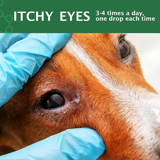 Dog Eye Drops, Eye Cleaner for Dogs & Cats Supports Eyes Infection Relief, Redness & Allergy Eyes Relief, Remove Tear Stain & Eye Debris - Pet Eye Gentle Care Supplement Cats Drops for Eyes - 2 fl oz… PAWPICO