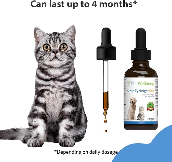 Pet Wellbeing Nettle-Eyebright Gold for Cats - Vet-Formulated - Seasonal Allergies, Hay Fever, Allergic Rhinitis - Natural Herbal Supplement 2 oz (59 ml) PetWellbeing