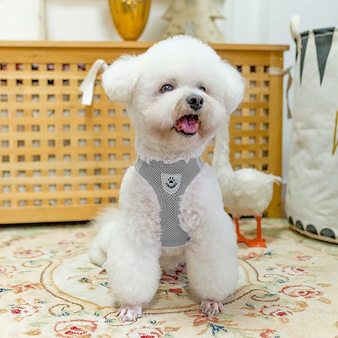 PUPTECK Adjustable Dog Harness Collar and Leash Set Step in No Pull Pet Harness for Small Medium Dogs Puppy and Cats Outdoor Walking Running, Soft Mesh Padded Reflective Vest Harnesses, Solid Grey XS PUPTECK