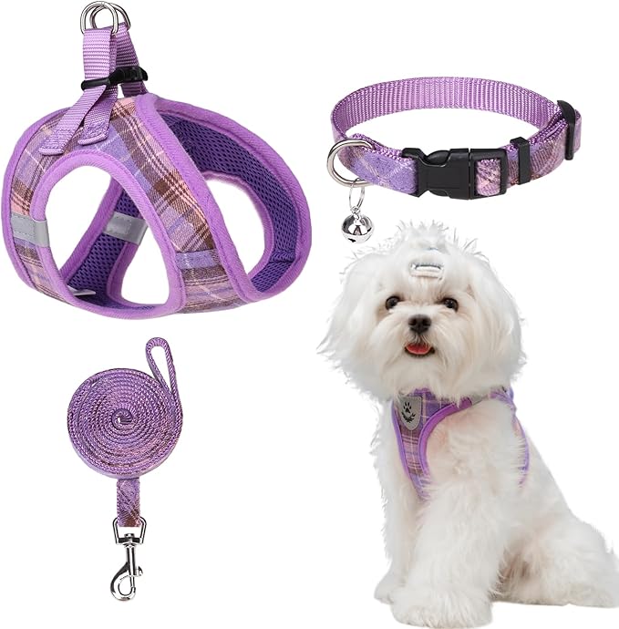 EXPAWLORER Dog Harness and Leash Set - Classic Plaid Step in Dog Harness with Adjustable Dog Collar, Soft Dog Vest Harness No Pull, Reflective Escapeproof for Training Outdoor Walking, Purple L EXPAWLORER