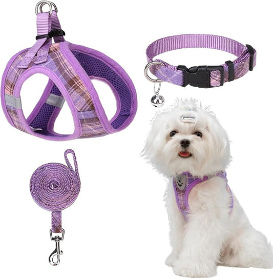 EXPAWLORER Dog Harness and Leash Set - Classic Plaid Step in Dog Harness with Adjustable Dog Collar, Soft Dog Vest Harness No Pull, Reflective Escapeproof for Training Outdoor Walking, Purple L EXPAWLORER