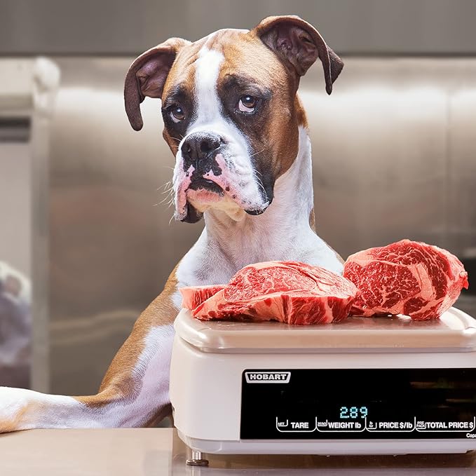 Fromm Heartland Gold Adult Premium Dry Dog Food - Beef Recipe - 12 lb - PAWPICO