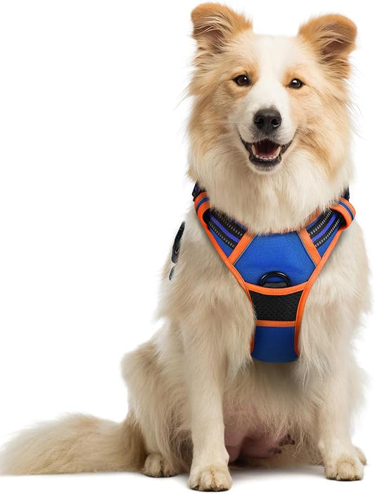 rabbitgoo Dog Harness No Pull with 2 Leash Clips, Adjustable Soft Padded, Reflective Oxford No Choke Pet Vest with Easy Control Handle for Medium Sized Dogs, Blue & Orange, M rabbitgoo