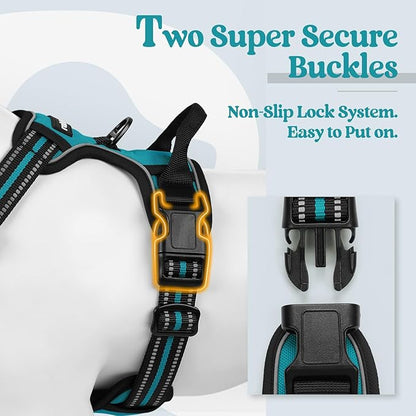 rabbitgoo Dog Harness No Pull with 2 Leash Clips, Adjustable Soft Padded, Reflective Oxford No Choke Pet Vest with Easy Control Handle for Medium Sized Dogs, Teal, M rabbitgoo