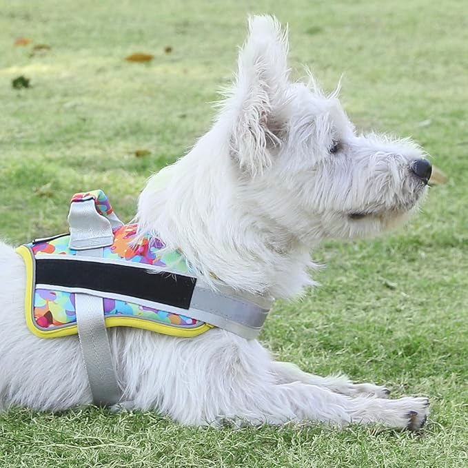 Bolux Dog Harness, No-Pull Reflective Dog Vest, Breathable Adjustable Pet Harness with Handle for Outdoor Walking - No More Pulling, Tugging or Choking (Large (Pack of 1), Watercolour) Bolux