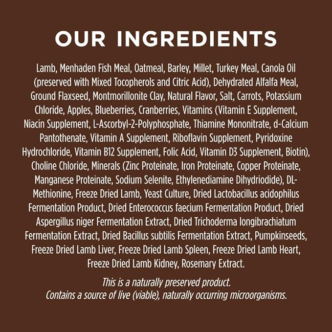 Instinct Be Natural Real Lamb & Oatmeal Recipe Natural Dry Dog Food, 24 lb. Bag - PAWPICO