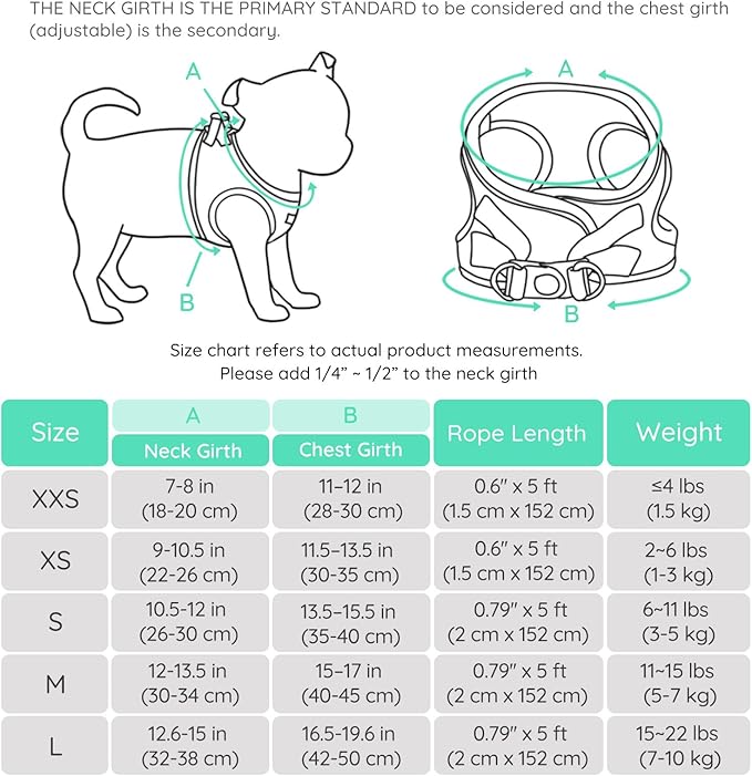 BELLA & PAL Small Dog Harness with Leash Set, Light Green, Size S, No Pull, Reflective Strips, Step-in Design BELLAPAL