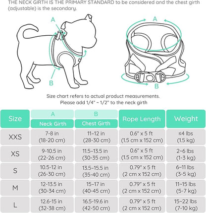 BELLA & PAL Small Dog Harness with Leash Set, Light Green, Size S, No Pull, Reflective Strips, Step-in Design BELLAPAL