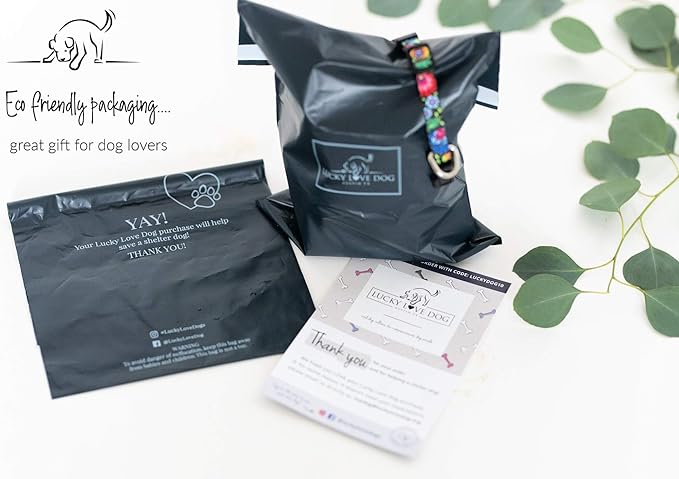 Lucky Love Dog Collar Combo Set, Strawberry Cute Girl Dog Collar and Leash Set, Dog Collar and Leash Set for Medium Dogs, Part of Purchase Donated to Rescue (Medium, Sweet Berry, Combo) LuckyLoveDog