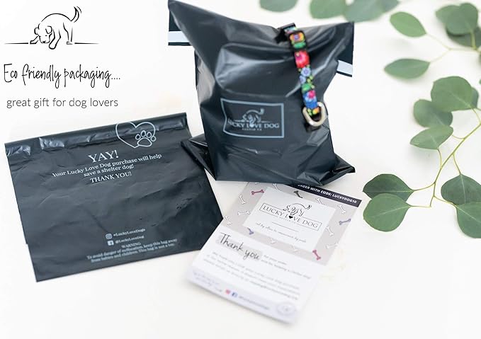 Lucky Love Dog, Colorful Stripes Dog Collar, Yellow, Pink, Blue Color Dog Collar, Cute Dog Collar for Girl Dogs - (Extra Large, Molly Collar) LuckyLoveDog