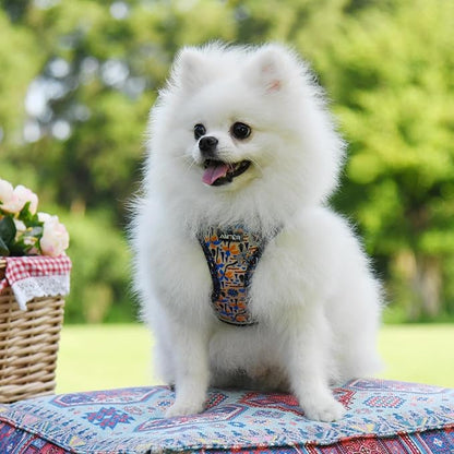 AMTOR Small Dog Harness with Leash Set, No Escape Easy Walk Puppy Harnesses for Training Walking, Step-in Reflective Soft Dogs Vest for XS S Medium Extra-Small Large Sized Dog(Beige Coconut) AMTOR