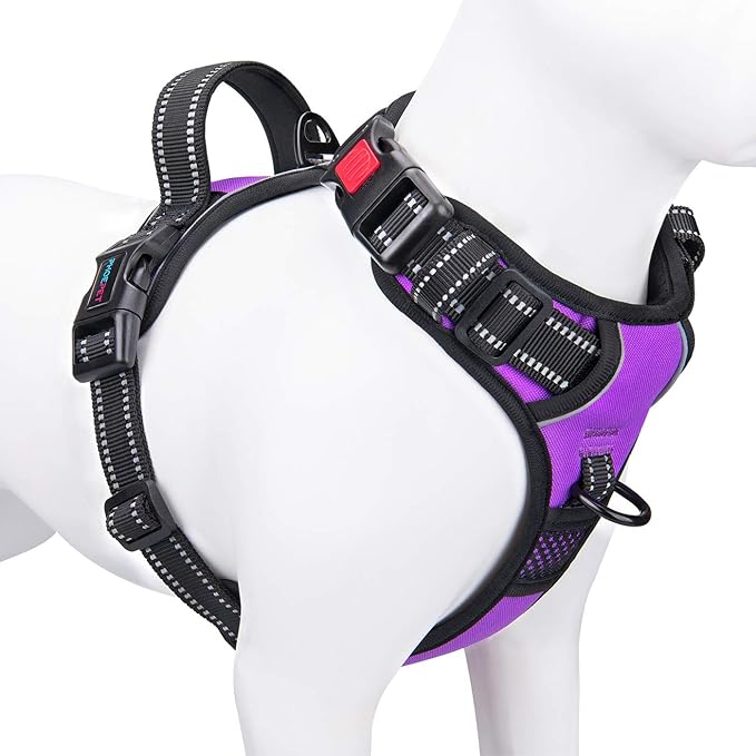 PHOEPET No Pull Dog Harnesses for Small Dogs Reflective Adjustable Front Clip Vest with Handle 2 Metal Rings 3 Buckles [Easy to Put on & Take Off](XS, Purple) PHOEPET