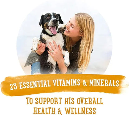 Purina Beneful Gravy Wet Dog Food, Prepared Meals Chicken Stew - (8) 10 oz. Tubs - PAWPICO