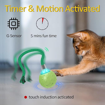 Interactive Cat Toys for Bored Indoor Adult Cats, Automatic Fast Move On Carpet, Bird Chirping & Motion Activated Cat Ball - PAWPICO