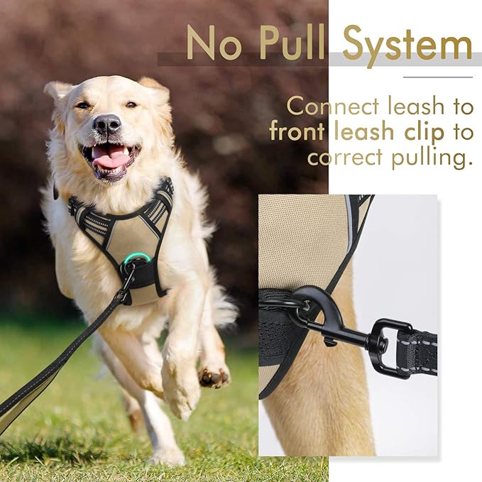 rabbitgoo Dog Harness, No-Pull Pet Harness with 2 Leash Clips, Adjustable Soft Padded Dog Vest, Reflective No-Choke Pet Oxford Vest with Easy Control Handle for Medium Dogs, Beige, M - PAWPICO