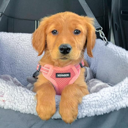 Best Pet Supplies Voyager Adjustable Dog Harness Leash Set with Reflective Stripes for Walking Heavy-Duty Full Body No Pull Vest with Leash D-Ring, Breathable All-Weather - Harness (Pink), L BestPetSuppliesLLC