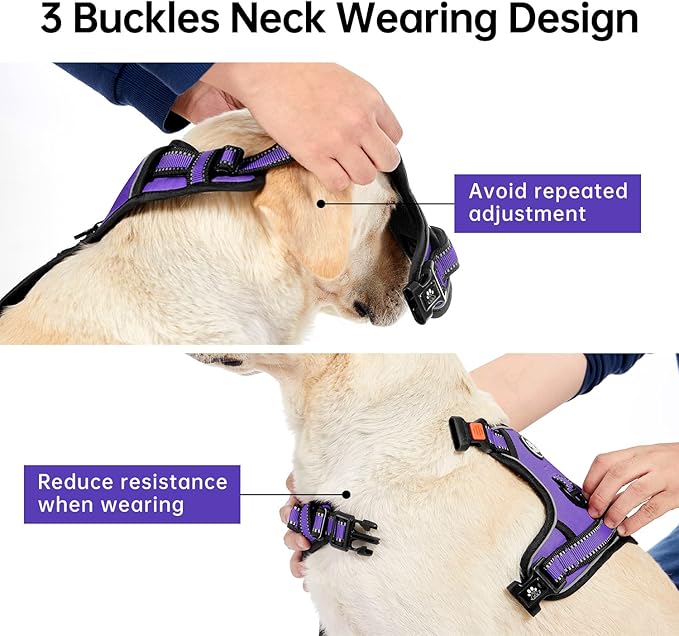 IVY&LANE No Pull Dog Harness for Large Dogs, Dog Vest Harness with Leash, Safety Belt and Storage Strap, Fully Adjustable Harness, 360° Reflective Strip, Soft Handle (Purple, L) IVYLANE