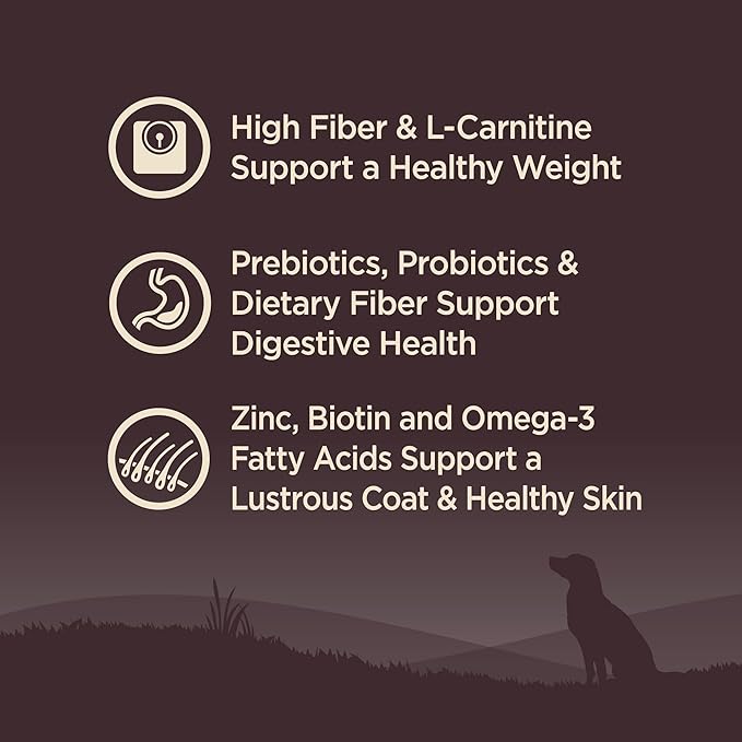 Wellness Natural Pet Food CORE Grain-Free High-Protein Small Breed Dry Dog Food, Natural Ingredients, Made in USA with Real Meat (Adult, Healthy Weight, 12-Pound Bag) - PAWPICO