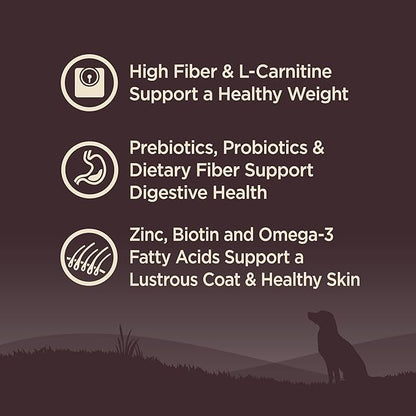 Wellness Natural Pet Food CORE Grain-Free High-Protein Small Breed Dry Dog Food, Natural Ingredients, Made in USA with Real Meat (Adult, Healthy Weight, 12-Pound Bag) - PAWPICO