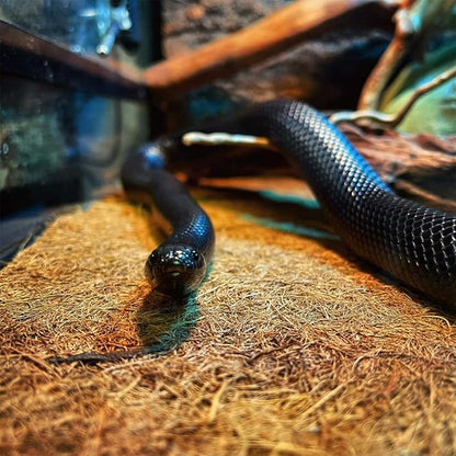 Hamiledyi Reptile Carpet Mat 19.7x11.8in Coconut Fiber Substrate,Lizard Cage Pad Tortoise Substrate Liner Snake Coco Liner for Bearded Dragon Snake Gecko Turtle Lizard Chamelon Iguana. Hamiledyi