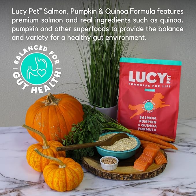 Lucy Pet Formulas for Life Salmon, Pumpkin, & Quinoa Dry Dog Food, All Life Stages, Digestive Health, Sensitive Stomach & Skin, 4.5lb bag - PAWPICO
