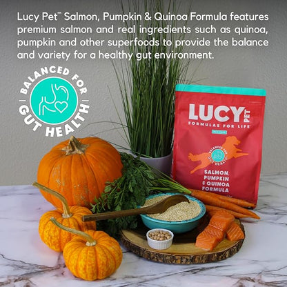 Lucy Pet Formulas for Life Salmon, Pumpkin, & Quinoa Dry Dog Food, All Life Stages, Digestive Health, Sensitive Stomach & Skin, 4.5lb bag - PAWPICO