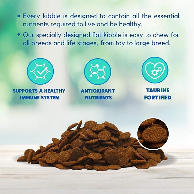 Lucy Pet Formulas for Life Salmon, Pumpkin, & Quinoa Dry Dog Food, All Life Stages, Digestive Health, Sensitive Stomach & Skin, 12lb bag - PAWPICO