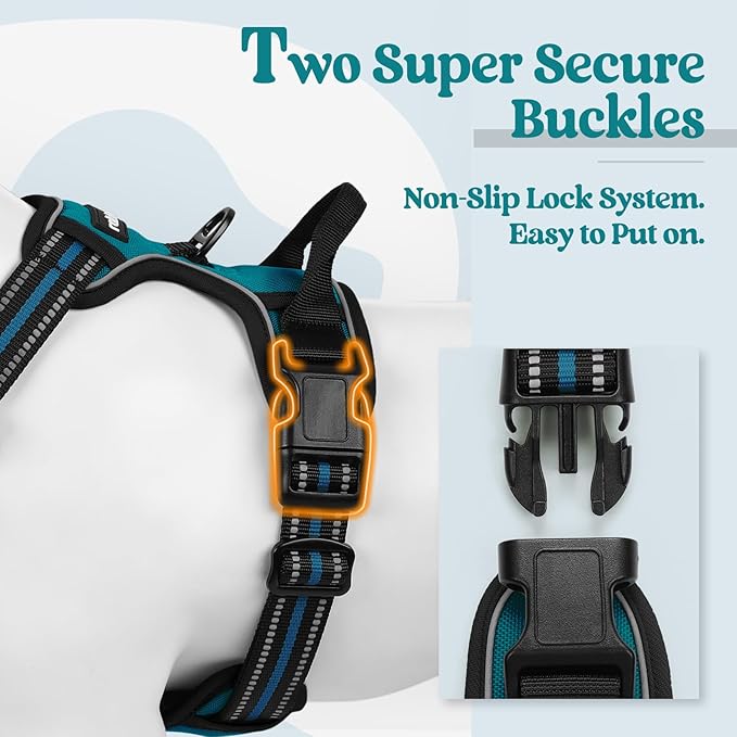 rabbitgoo Dog Harness No Pull with 2 Leash Clips, Adjustable Soft Padded, Reflective Oxford No Choke Pet Vest with Easy Control Handle for Large Dogs, Blue Coral, XL rabbitgoo